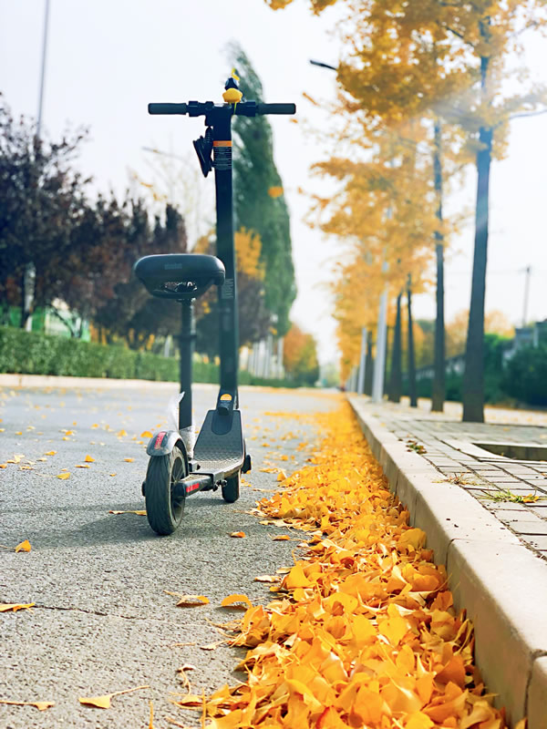 Seguro para Patinete Eléctrico y Bicicleta